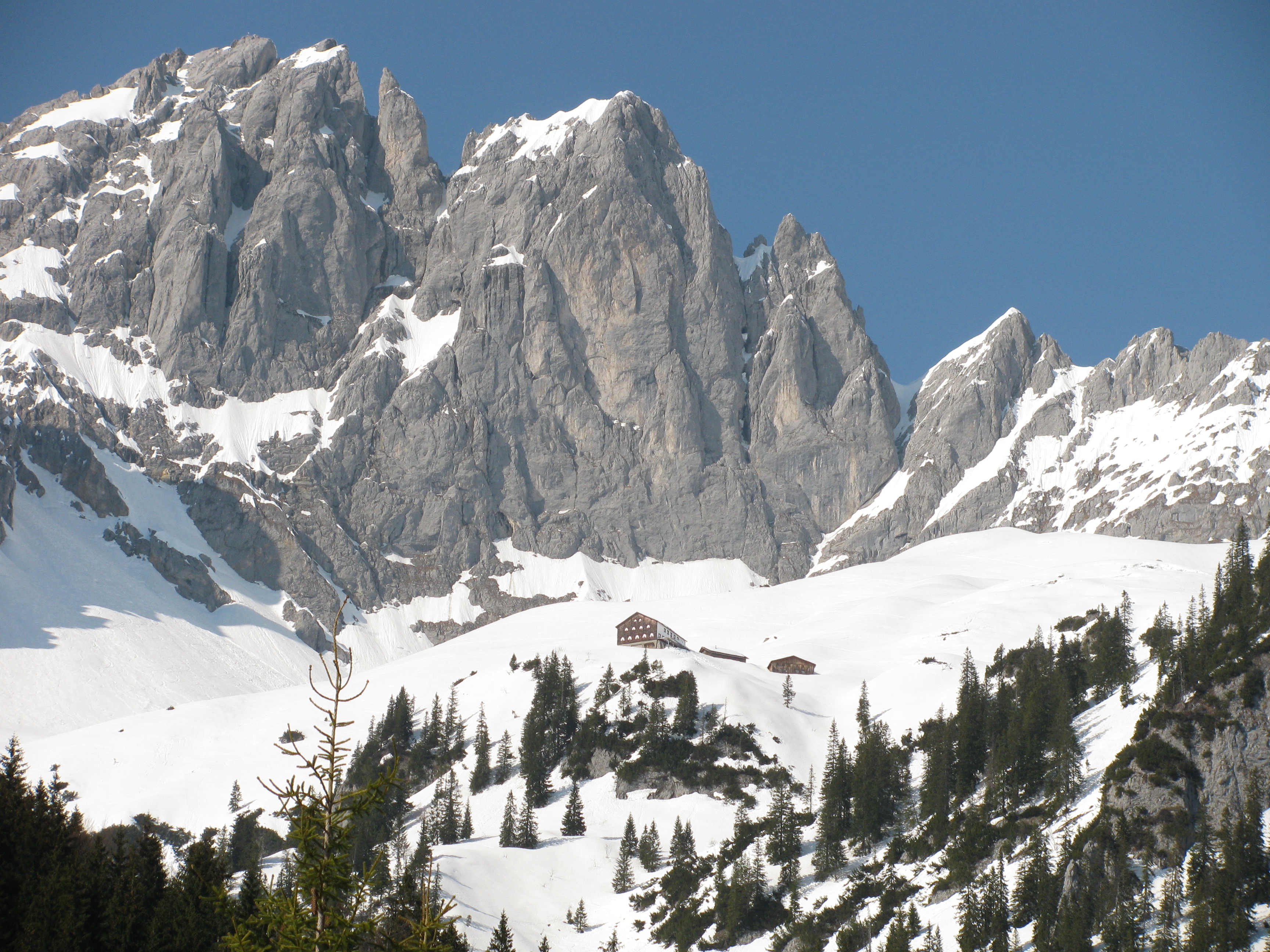 Wilder Kaiser - Blick von der Wochenbrunnalm