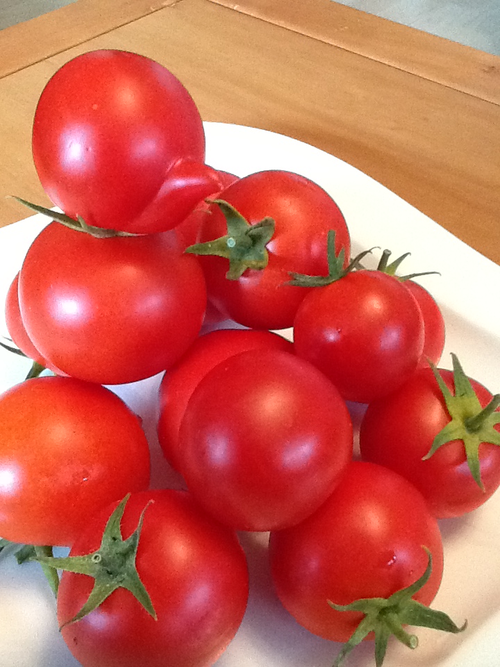 Sonnengereifte Schnabeltomaten